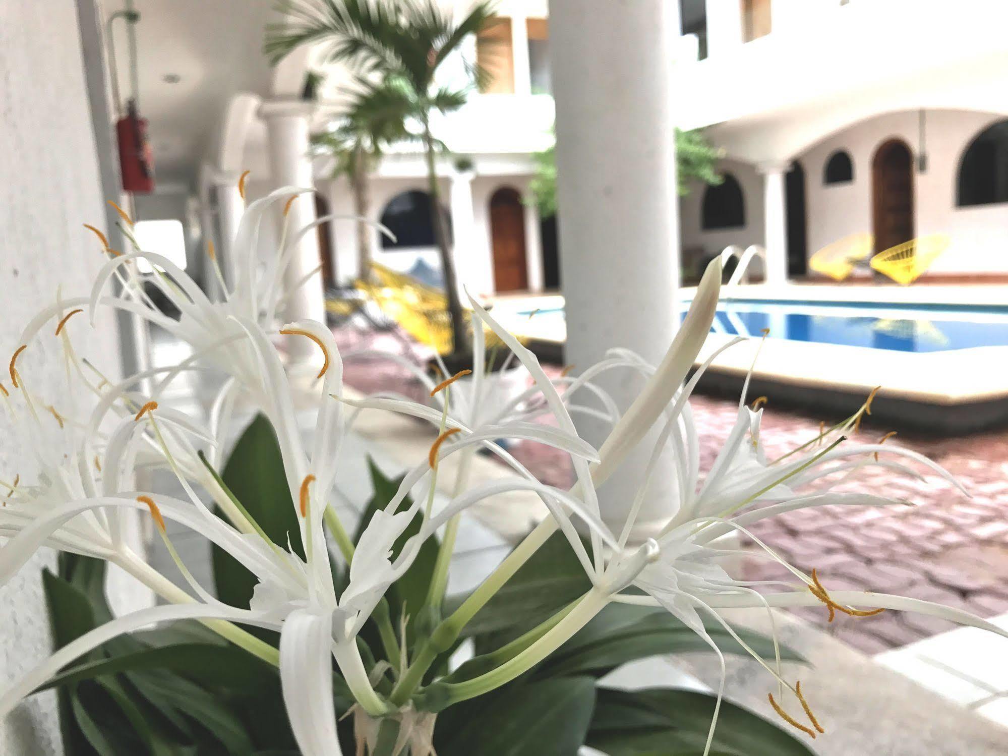 Hotel Villas San Ignacio Πλάγια Ντελ Κάρμεν Εξωτερικό φωτογραφία