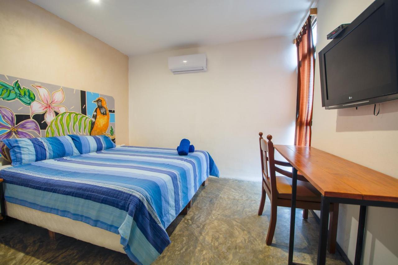 Hotel Villas San Ignacio Πλάγια Ντελ Κάρμεν Εξωτερικό φωτογραφία