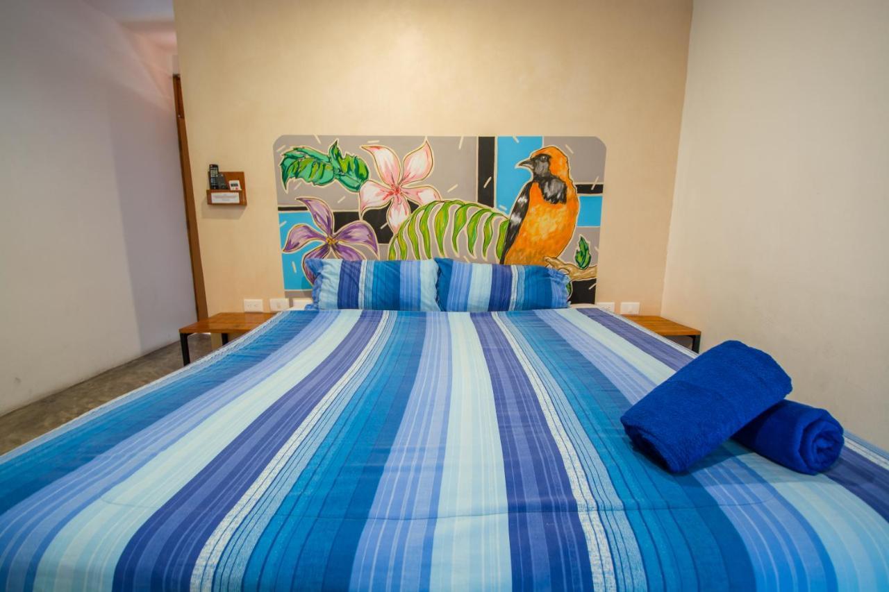 Hotel Villas San Ignacio Πλάγια Ντελ Κάρμεν Εξωτερικό φωτογραφία